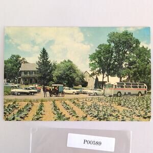 The Amish Farm & House Exhibit Pennsylvania 1950s Postcard Lancaster PA Unposted